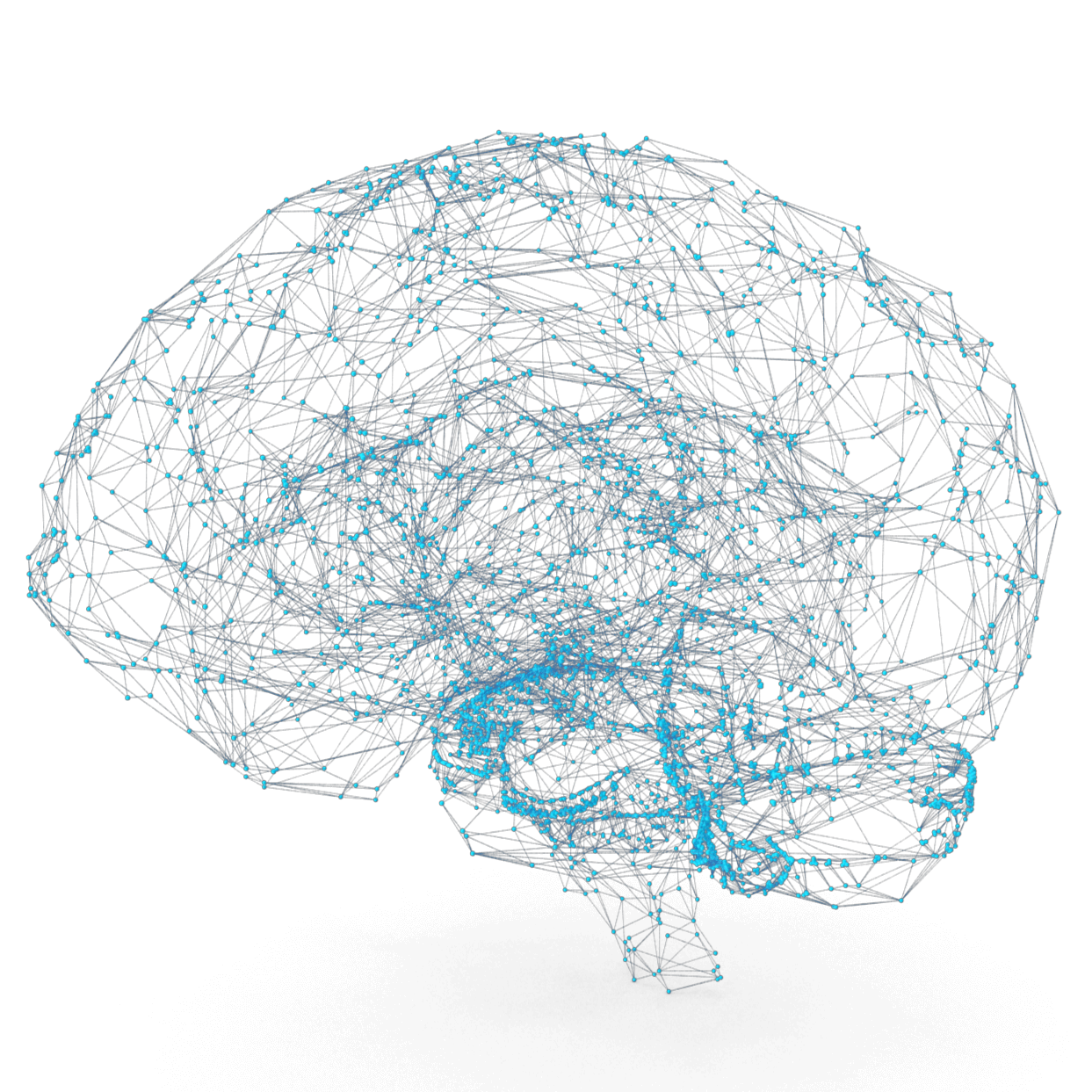 Brain Wireframe